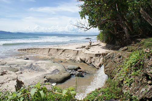 Alas Purwo National Park